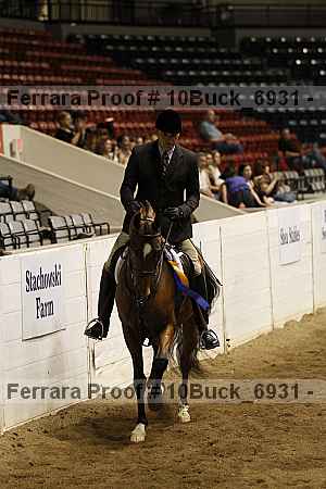 Proof 10buck_6931