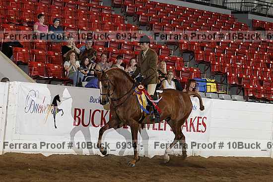 Proof 10buck_6934