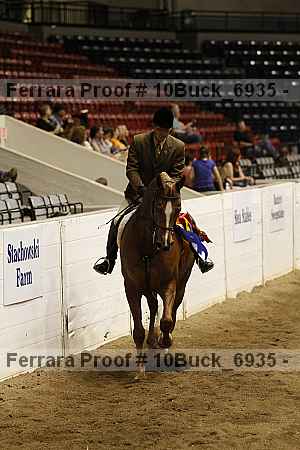 Proof 10buck_6935