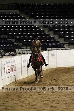 Proof 10buck_6936