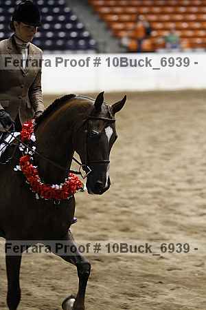 Proof 10buck_6939