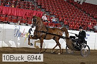 10buck_6944 proof