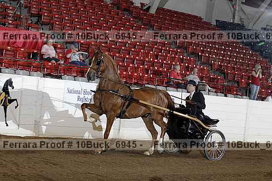 Proof 10buck_6945