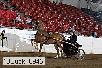10buck_6945 proof