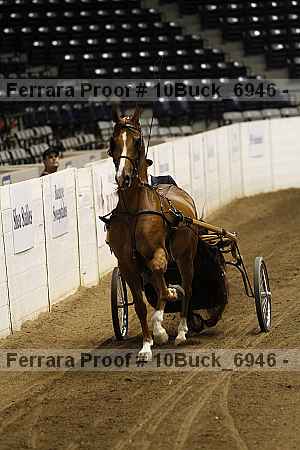 Proof 10buck_6946