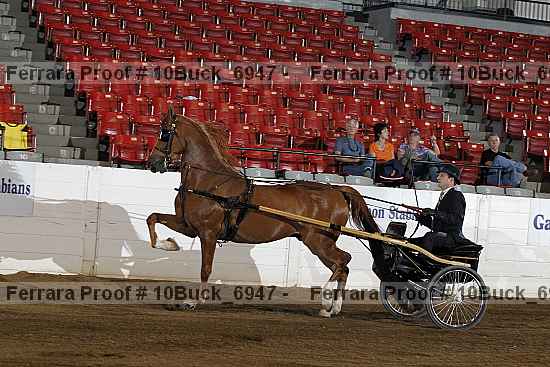 Proof 10buck_6947