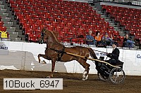 10buck_6947 proof