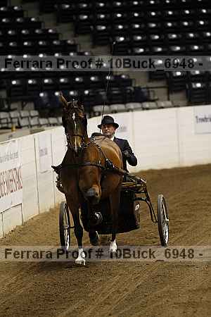 Proof 10buck_6948