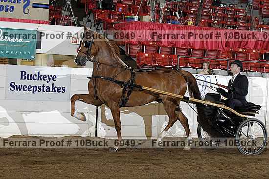 Proof 10buck_6949