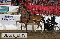 10buck_6949 proof