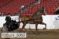 10buck_6950 proof
