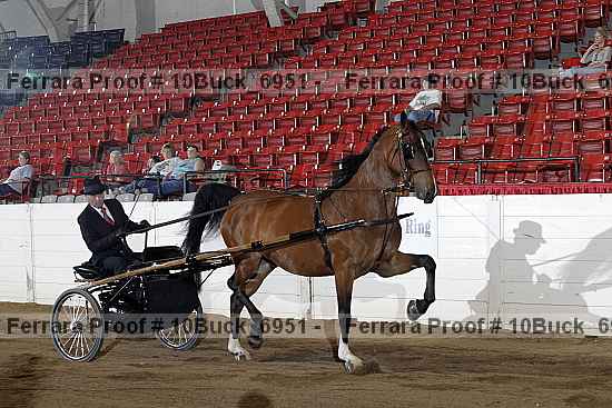 Proof 10buck_6951