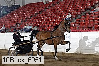 10buck_6951 proof