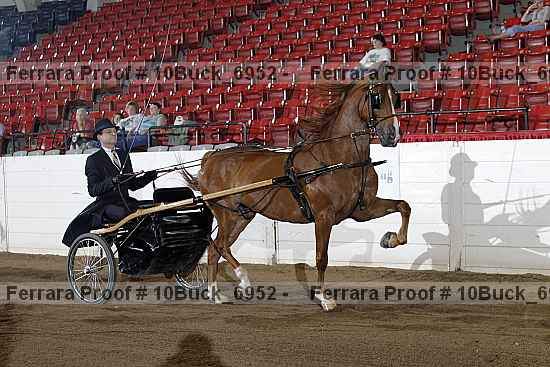 Proof 10buck_6952