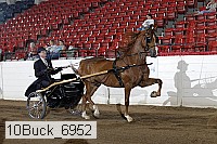 10buck_6952 proof