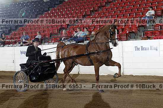 Proof 10buck_6953