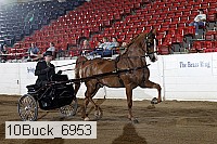 10buck_6953 proof