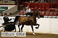 10buck_6954 proof