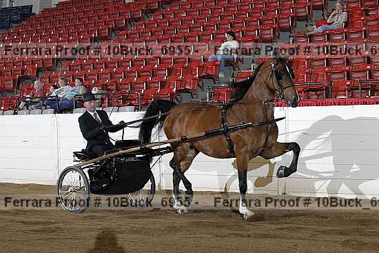 Proof 10buck_6955