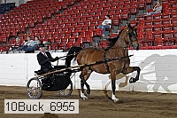 10buck_6955 proof