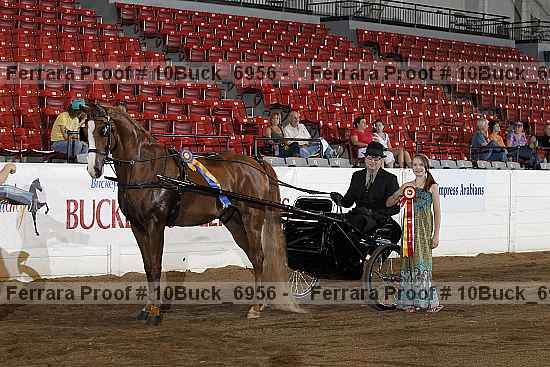 Proof 10buck_6956