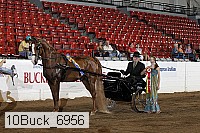 10buck_6956 proof