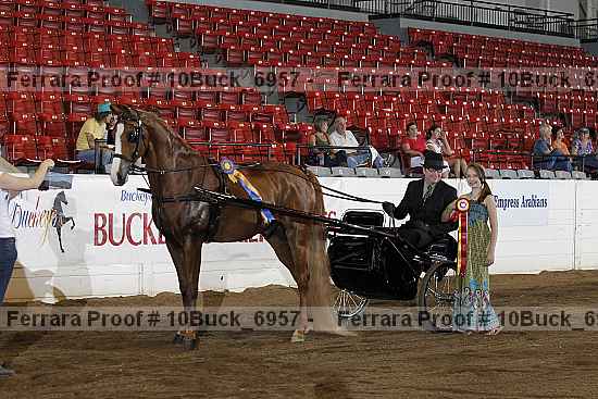 Proof 10buck_6957