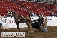 10buck_6957 proof