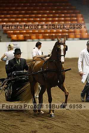 Proof 10buck_6958