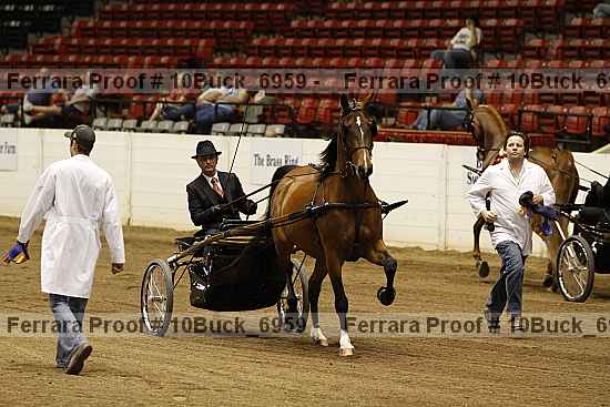 Proof 10buck_6959
