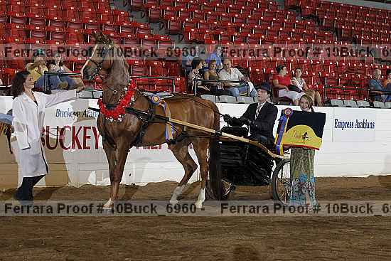Proof 10buck_6960