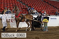 10buck_6960 proof