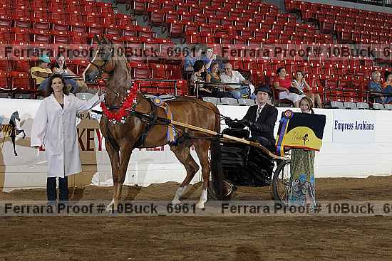 Proof 10buck_6961
