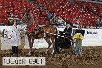 10buck_6961 proof