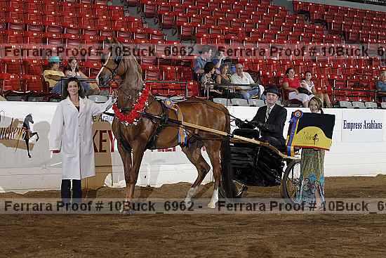 Proof 10buck_6962