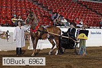 10buck_6962 proof