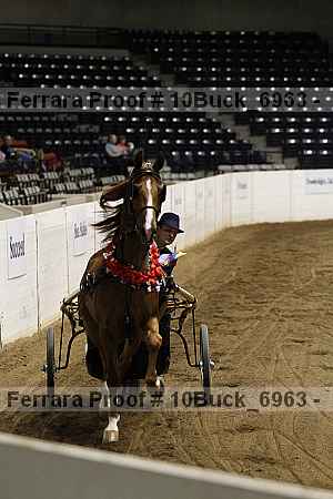Proof 10buck_6963