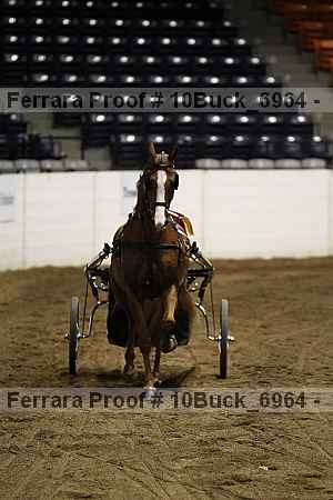 Proof 10buck_6964