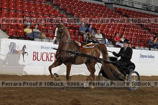 Proof 10buck_6966