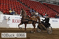 10buck_6966 proof