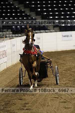 Proof 10buck_6967