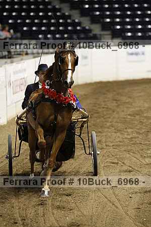 Proof 10buck_6968