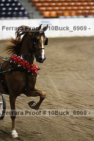 Proof 10buck_6969