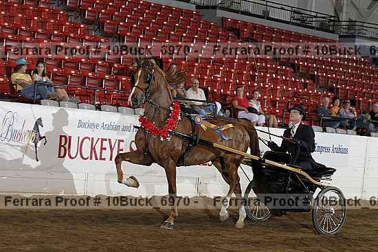 Proof 10buck_6970
