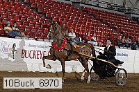 10buck_6970 proof