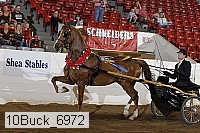 10buck_6972 proof