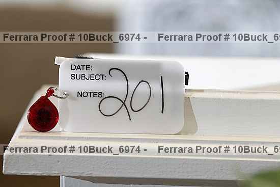 Proof 10buck_6974