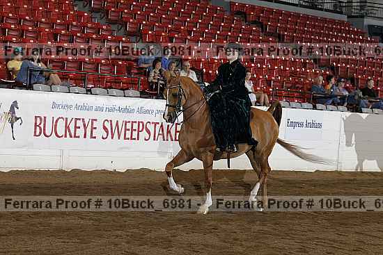 Proof 10buck_6981