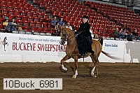10buck_6981 proof