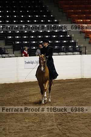 Proof 10buck_6988